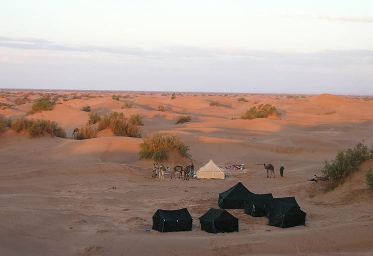 Morocco Experience Camel Trekking