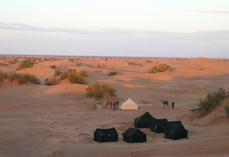 Morocco Experience Camel Trekking