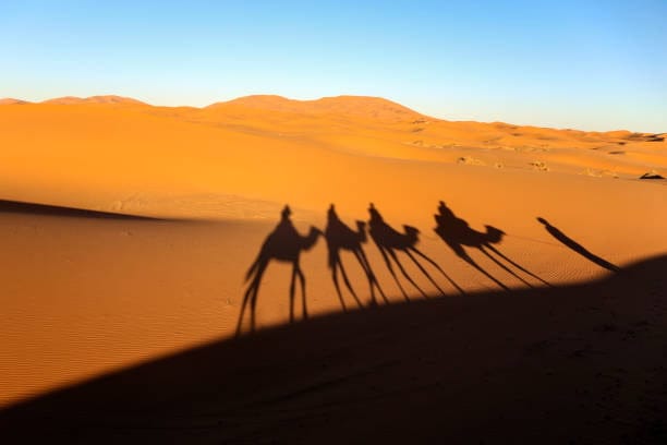 Shadows of caravan in Erg Chebbi