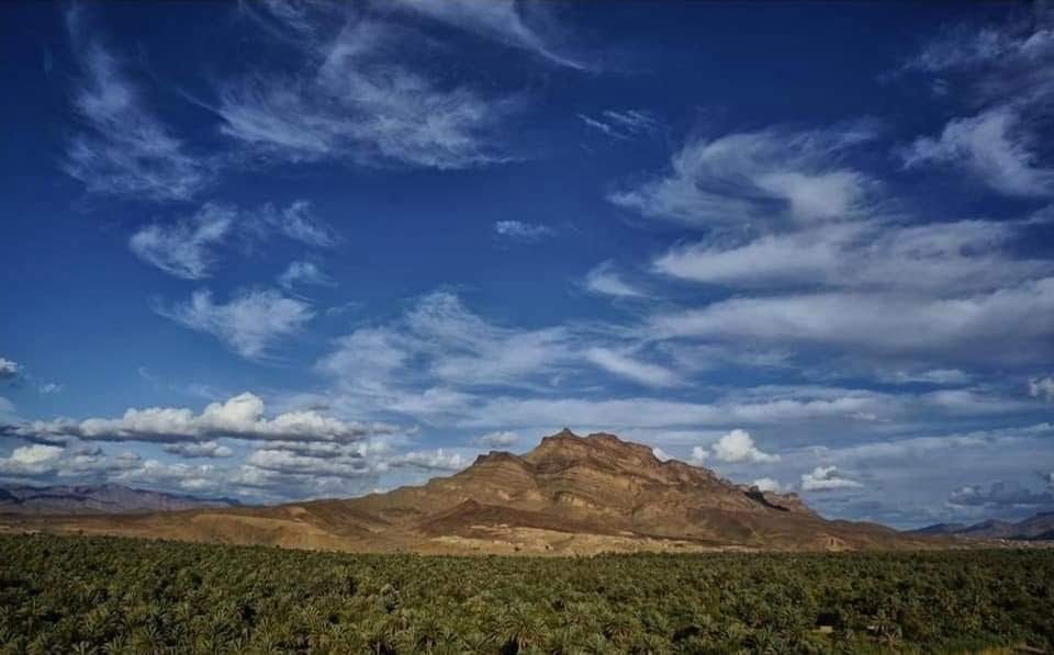 Beautiful Panorama view of palms in Draa valley Agdez