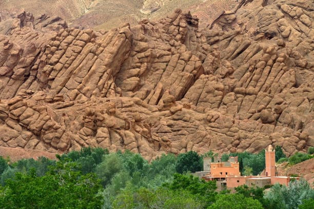 Dades valley monkey fingires