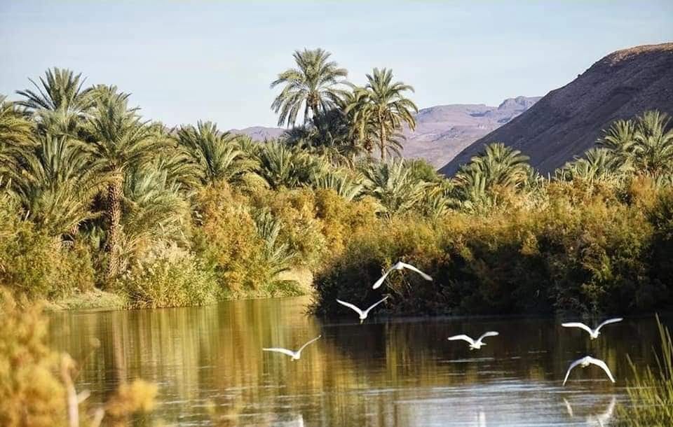 Draa valley river