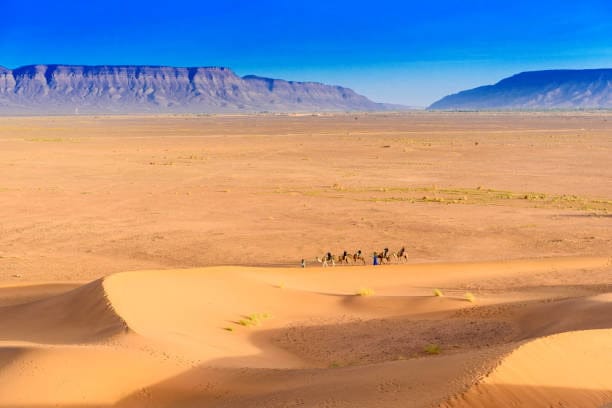 landscape Dunes Zagora