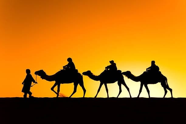 Morocco Experience Camel Trekking