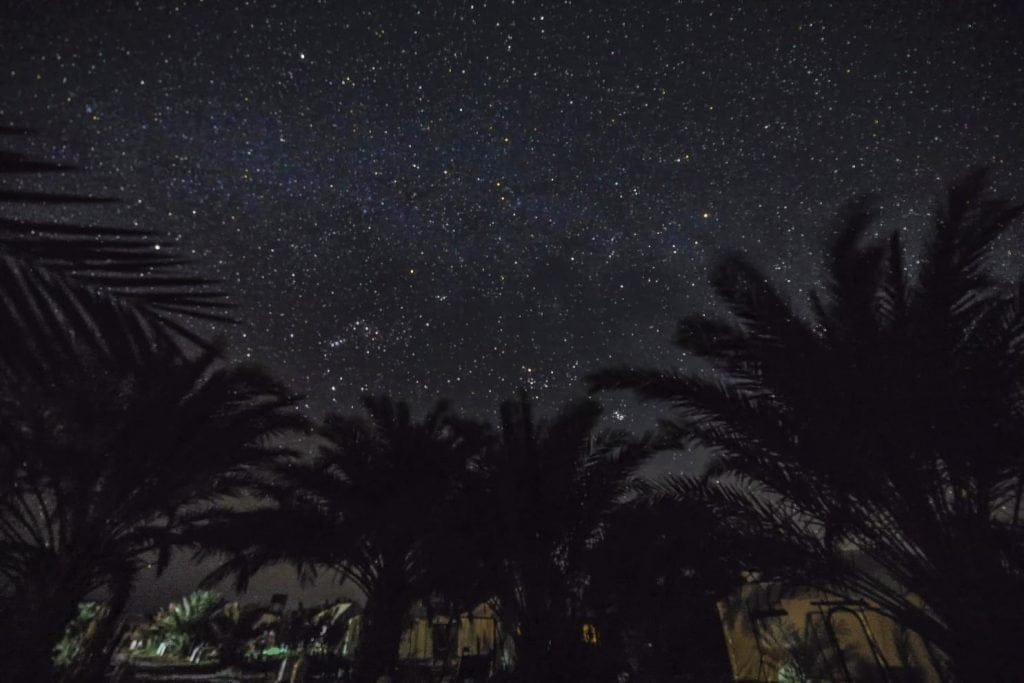 palms trees watch the stars in Sahara desert camp