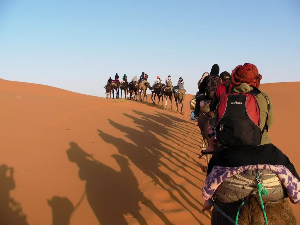 camel ride group desert Sahara tours