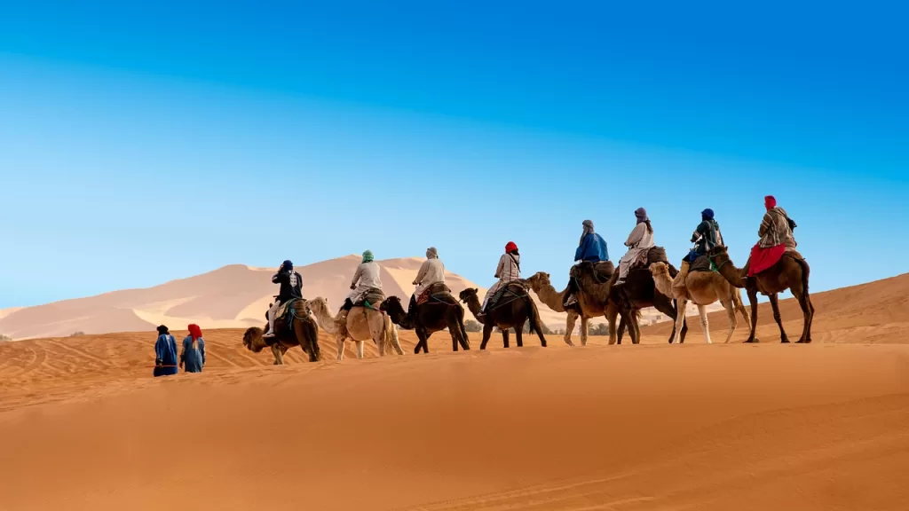 desert Sahara ride camels