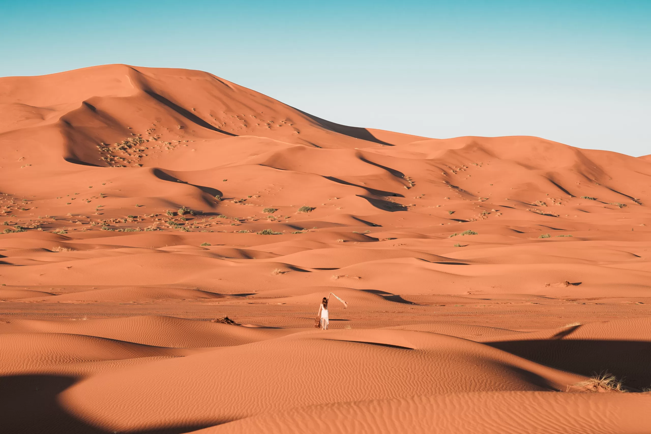 desert Sahara alone in deep desert